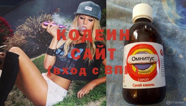 хмурый Покров