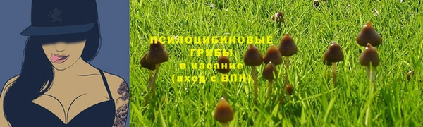 хмурый Покров