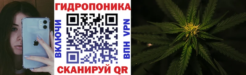 Каннабис конопля  где продают наркотики  Нижние Серги 